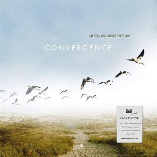 Convergence - Mezza / Ginsburg Ensemble - Musiikki - OZELLA MUSIC - 4038952010842 - perjantai 21. syyskuuta 2018