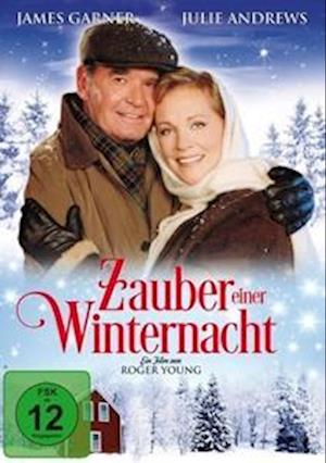 Cover for Weihnachtsfilm · Zauber Einer Winternacht (DVD) (2023)