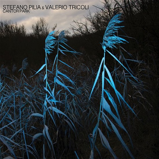 Cover for Stefano Pilia &amp; Valerio Tricoli · Cantor Park (CD) (2023)