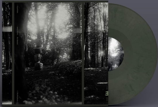 Eyolf Dale · Wayfarers (LP) [Limited edition] (2023)