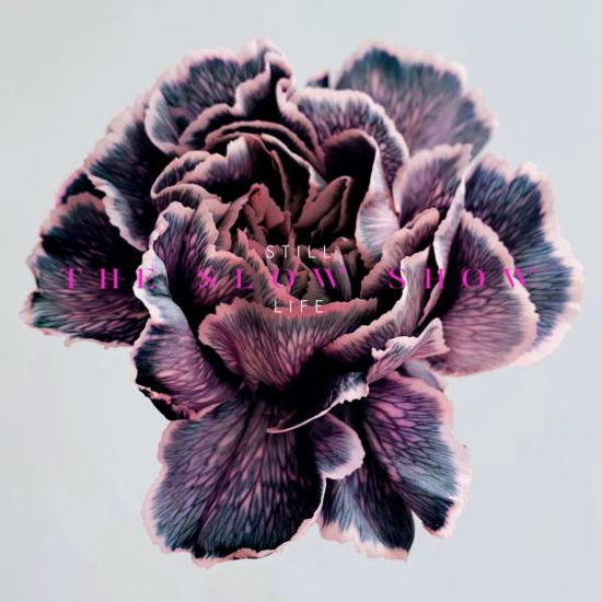 Cover for Slow Show · Still Life (CD) (2022)