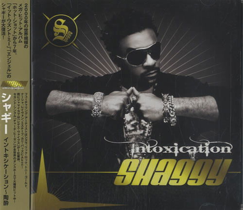 Intoxication - Shaggy - Musique - Jahmekya - 8019991865842 - 