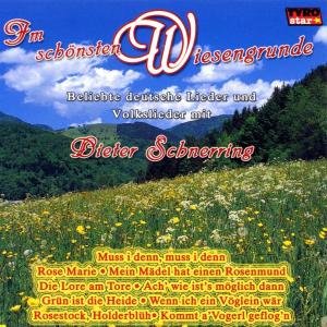 Im Schönsten Wiesengrunde - Schnerring Dieter - Musiikki - TYROLIS - 9003549772842 - maanantai 24. kesäkuuta 2002