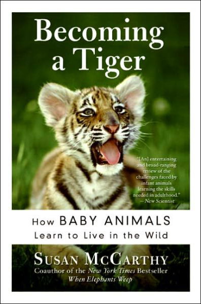 Cover for Susan Mccarthy · Becoming a Tiger: How Baby Animals Learn (Paperback Book) [Reprint edition] (2021)