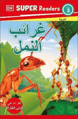 Cover for DK Super Readers Level 3 Ant Antics Ara (Book)