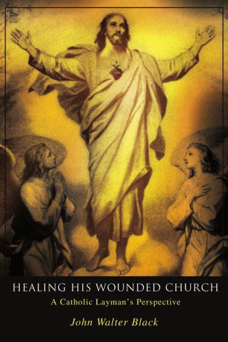 Cover for John Black · Healing His Wounded Church: a Catholic Layman's Perspective (Taschenbuch) (2004)