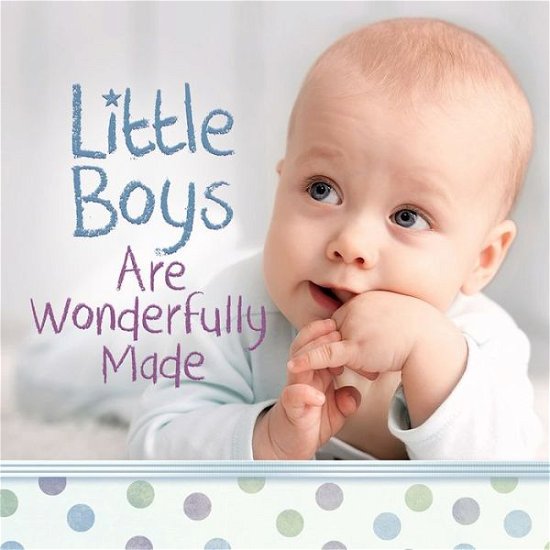 Cover for Harvest House Publishers · Little Boys Are Wonderfully Made (Hardcover Book) (2016)
