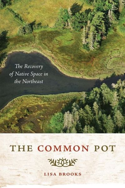 Cover for Lisa Brooks · The Common Pot: The Recovery of Native Space in the Northeast - Indigenous Americas (Paperback Book) (2008)