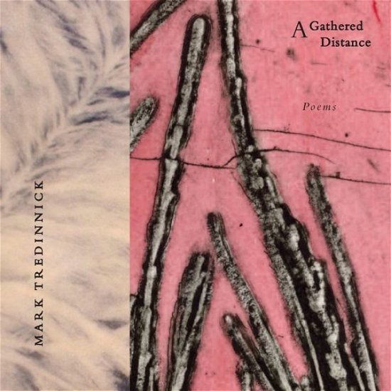 Cover for Mark Tredinnick · A Gathered Distance: Poems (Taschenbuch) (2020)