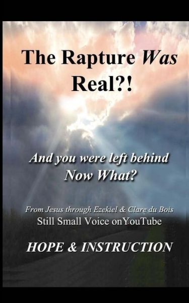 The Rapture Was Real - Clare DuBois - Books - CreateSpace Independent Publishing Platf - 9781518838842 - October 29, 2015