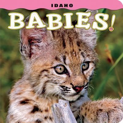 Cover for Steph Lehmann · Idaho Babies! (Board book) (2016)