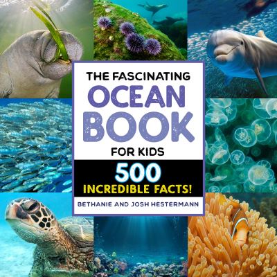 Cover for Bethanie Hestermann · The Fascinating Ocean Book for Kids: 500 Incredible Facts! - Fascinating Facts (Paperback Book) (2021)