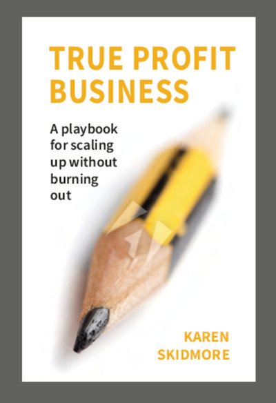 Cover for Karen Skidmore · True Profit Business: How to play your bigger game without burning out (Paperback Book) (2019)