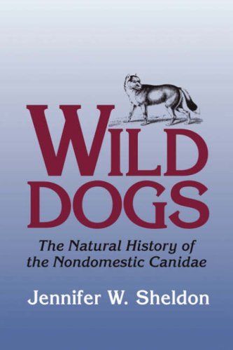 Cover for Jennifer W. Sheldon · Wild Dogs: the Natural History of the Nondomestic Canidae (Paperback Book) (2004)