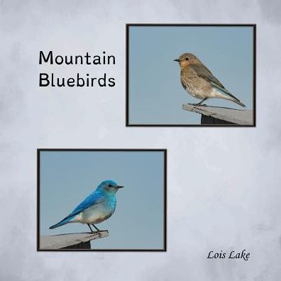 Cover for Lois Lake · Mountain Bluebirds (Paperback Book) (2018)