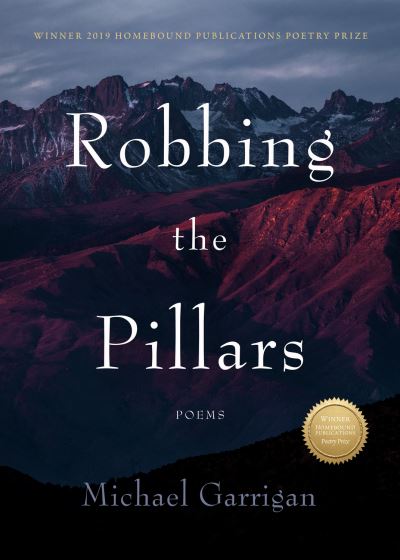 Cover for Michael Garrigan · Robbing the Pillars: Poems (Taschenbuch) (2020)