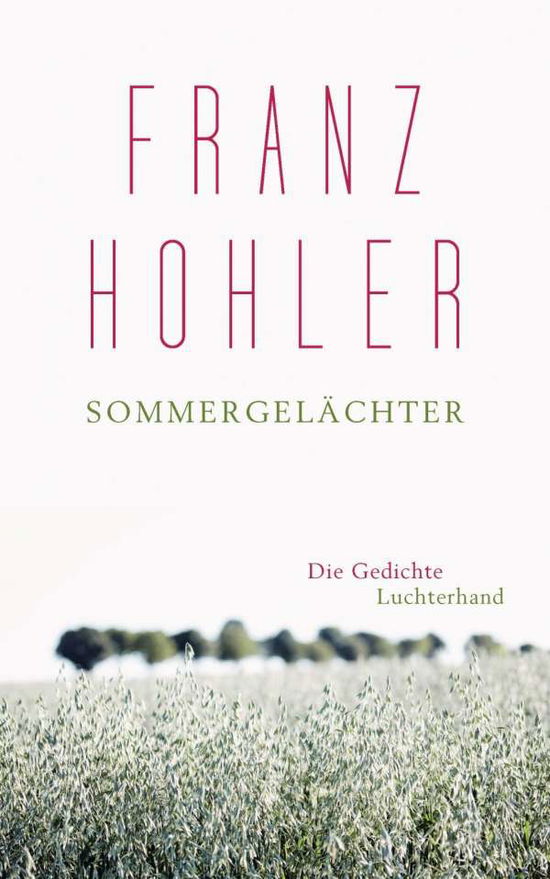 Cover for Hohler · Sommergelächter (Book)