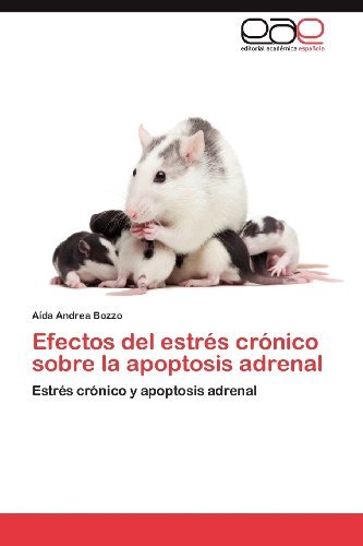 Cover for Aída Andrea Bozzo · Efectos Del Estrés Crónico Sobre La Apoptosis Adrenal: Estrés Crónico Y Apoptosis Adrenal (Pocketbok) [Spanish edition] (2012)