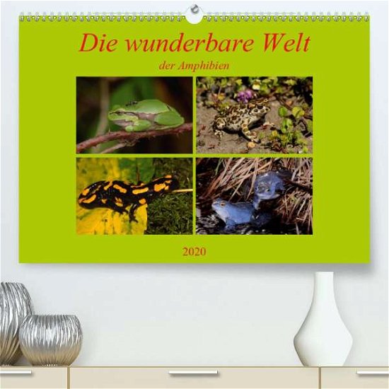 Cover for Erlwein · Die wunderbare Welt der Amphibi (Book)