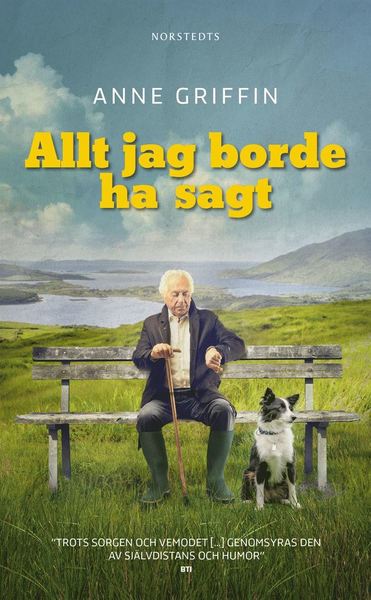 Cover for Anne Griffin · Allt jag borde ha sagt (Paperback Book) (2021)