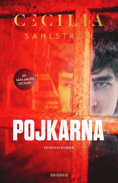 Cover for Cecilia Sahlström · Sara Vallén: Pojkarna (ePUB) (2021)