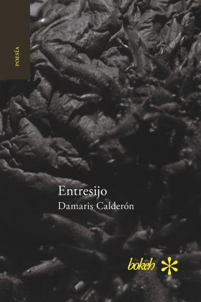 Cover for Damaris Calderón · Entresijo (Taschenbuch) (2017)
