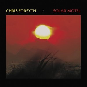 Cover for Chris Forsyth · Solar Motel (LP) (2015)