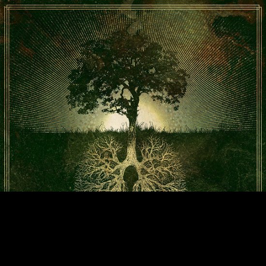 Cover for Botanist · Photosynthesis (CD) (2020)