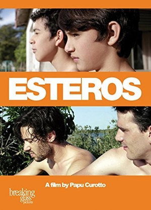 Cover for DVD · Esteros (DVD) (2019)