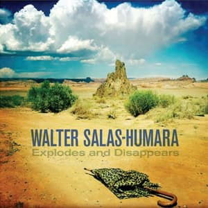 Explodes & Disappears - Walter Salas-Humara - Music - Blue Rose - 4028466326843 - June 23, 2016