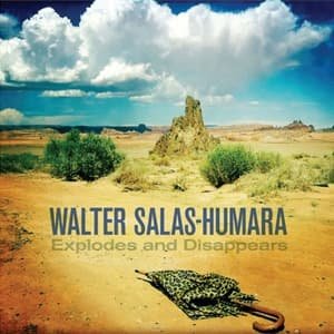 Cover for Walter Salas-humara · Explodes &amp; Disappears (CD) (2016)
