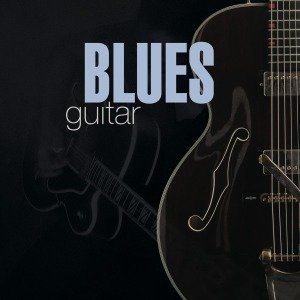 Blues Guitar - V/A - Musik - FF SIGNATURE - 5022508205843 - 14. januar 2002