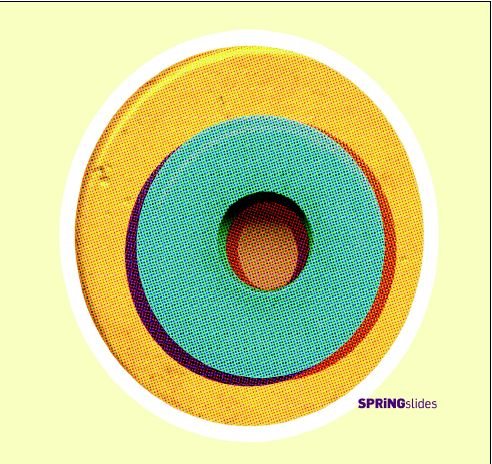 Cover for Spring · Slides (CD) (2011)
