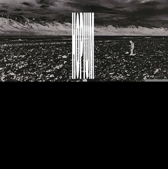Cover for Luke Lund · Hopium (LP) (2020)