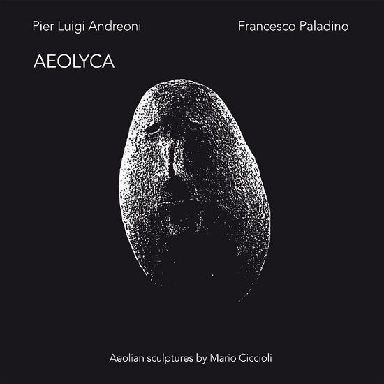 Aeolyca - Andreoni,pier Luigi / Paladino,francesco - Musik - SOAVE - 8055323520843 - 9. marts 2018