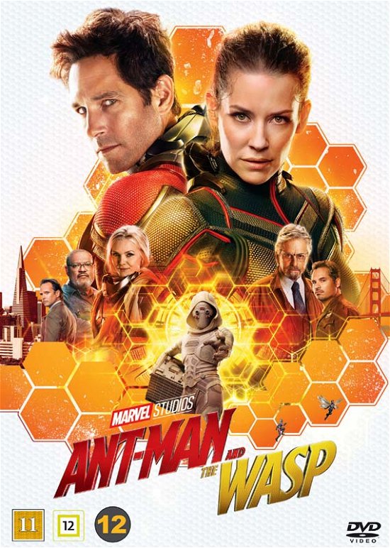 Cover for Ant-man and the Wasp · Ant-Man And The Wasp (DVD) (2018)
