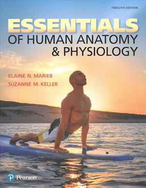 Essentials of Human Anatomy & Physiology and Modified Mastering A&P with Pearson eText -- ValuePack Access Card Package - Elaine N. Marieb - Books - Pearson - 9780134810843 - February 17, 2017