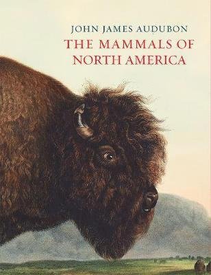 Cover for John James Audubon · The Mammals of North America (Hardcover Book) (2019)