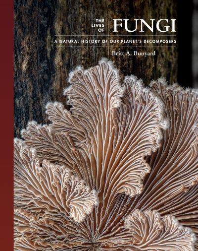 Cover for Britt A. Bunyard · The Lives of Fungi: A Natural History of Our Planet's Decomposers - The Lives of the Natural World (Hardcover Book) (2022)