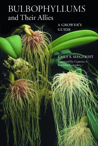 Cover for Emly S. Siegerist · Bulbophyllums and Their Allies: A Grower's Guide (Paperback Bog) (2008)