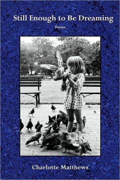 Cover for Charlotte Hilary Matthews · Still Enough to Be Dreaming (Paperback Book) (2007)