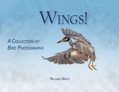 Cover for Richard Smith · Wings! (Paperback Bog) (2020)