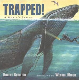 Trapped! - Robert Burleigh - Books - Live Oak Media - 9781430126843 - March 24, 2017