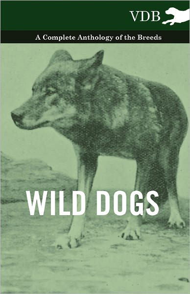 Cover for Wild Dogs - a Complete Anthology of the Breeds (Paperback Book) (2010)