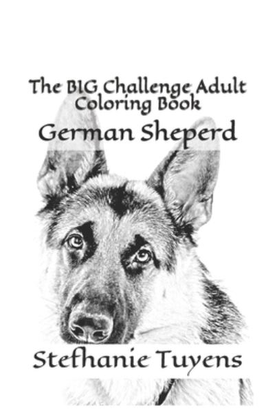 Cover for Stefhanie Tuyens · The BIG Challenge Adult Coloring Book (Paperback Book) (2017)