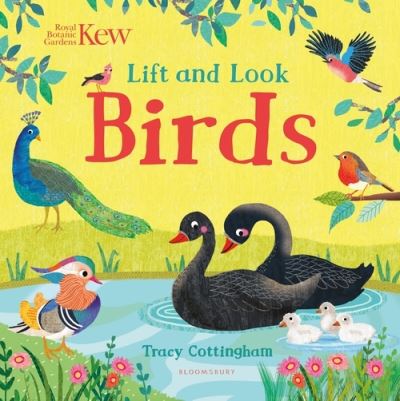 Cover for Cottingham, Tracy (I · Kew: Lift and Look Birds (Board book) (2022)