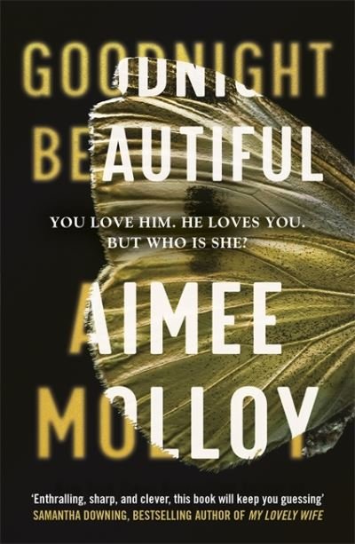 Cover for Aimee Molloy · Goodnight, Beautiful: The utterly gripping psychological thriller full of suspense (Pocketbok) (2021)