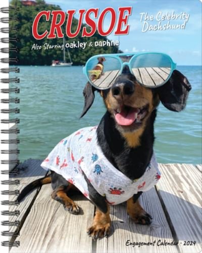 Crusoe the Celebrity Dachshund 2024 6.5 X 8.5 Engagement Calendar (Kalender) (2023)