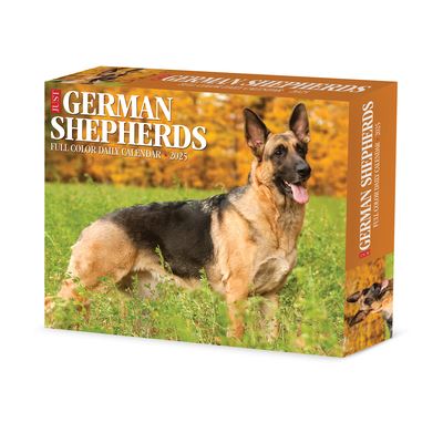 German Shepherds 2025 6.2 X 5.4 Box Calendar - Willow Creek Press - Merchandise - Willow Creek Press Calendars - 9781549240843 - September 10, 2024