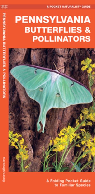 Cover for James Kavanagh · Pennsylvania Butterflies &amp; Pollinators: A Folding Pocket Guide to Familiar Species - Wildlife and Nature Identification (Pamphlet) [2nd edition] (2020)